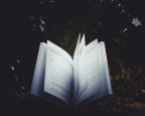 A good book will illuminate some truth. Image via Pexels