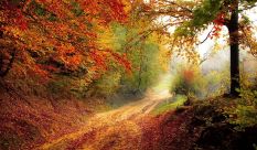 Glorious autumn. Time to take stock briefly and then move on. Pixabay image.