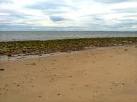 Golspie Beach in June - look at the crowds! Image by Allison Symes