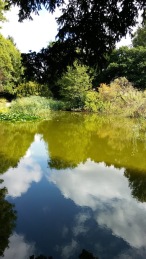 Reflections at Swanwick earlier this year. Image by Allison Symes