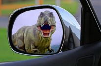 If you see this in your mirror, you are in big trouble and the wrong time zone. Pixabay image