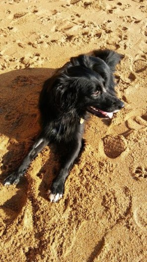 Guess who had a fab time at the beach? Image by Allison Symes