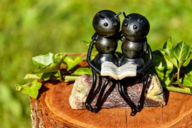 Lovely thought: busy ants taking time out to read. Unlikely though. Pixabay