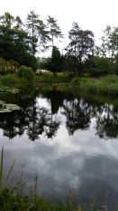 Reflections at Swanwick. Image by Allison Symes