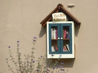 Glad to see the Little Library idea is speading.