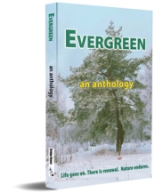 Evergreen 3D